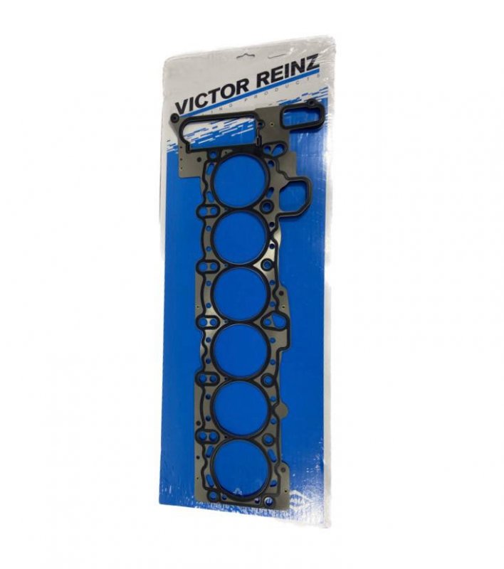 613307000 VICTOR REINZ